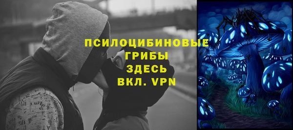 стафф Абинск