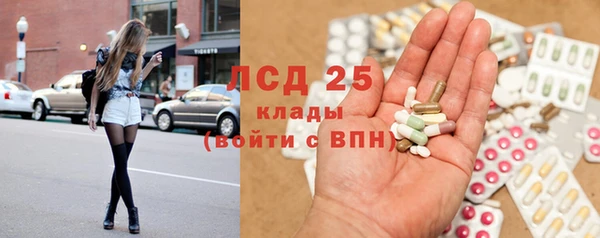 гашик Алзамай