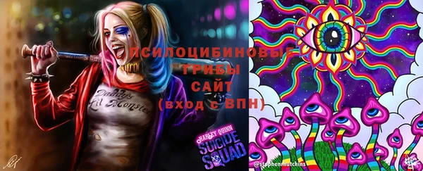 гашик Алзамай