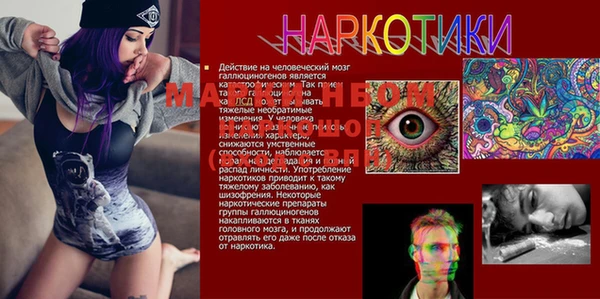 марки lsd Абаза