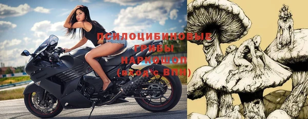 стафф Абинск