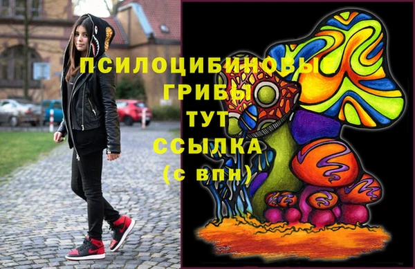 индика Саяногорск
