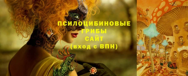 гашик Алзамай