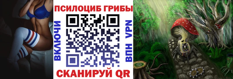 купить наркоту  Кадников  Галлюциногенные грибы мицелий 