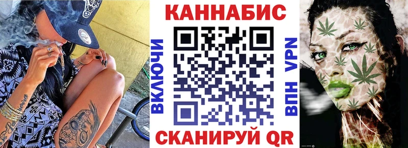 МАРИХУАНА сатива  Кадников 